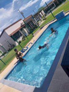 Tropical Oasis, Verano Inolvidable!的三人在游泳池游泳