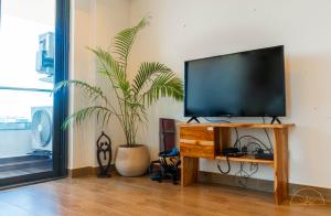阿克拉SOLEA - Super central, comfortable and modern apartment的一间带电视和盆栽植物的客厅