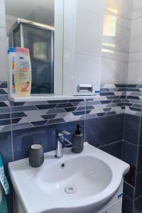 VrmdžaGreen House Latin Grad的浴室设有白色水槽和镜子