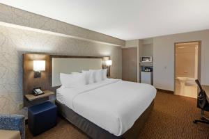 乔治城哈尔顿山贝斯特韦斯特酒店的酒店客房设有一张大床和一间浴室。