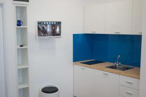 萨利巴西奥利公寓的厨房设有水槽和蓝色的墙壁