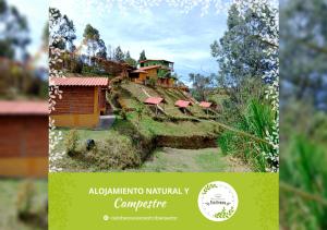 Carmen de ViboralVista Hermosa Eco Hostal的山丘上房屋模型的杂志图像