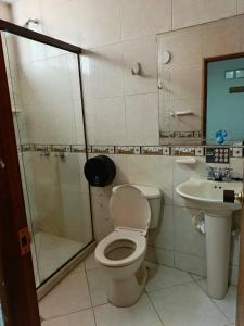 麦德林HOTEL BRISAS的浴室配有卫生间、淋浴和盥洗盆。