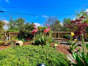 尤金Welcome! Colorful 50's Ranch in the Heart of Eugene的院子里的粉红色火烈鸟花园