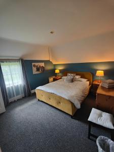 基拉尼Old Killarney的一间卧室配有一张床、两盏灯和一个窗户。