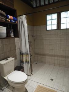 科克莱斯Casita Bribri at Margarita Hills的一间带卫生间和淋浴的浴室