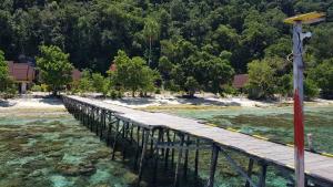 Pulau MansuarAmoryg Resort and Dive Raja Ampat的水体上的木桥
