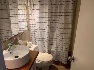 康塞普西翁HOsTAL PALMED的浴室配有白色卫生间和盥洗盆。