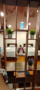 苏克雷Casa Ayacucho的一间设有书架、床和盆栽的房间