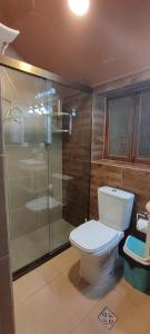 苏克雷Casa Ayacucho的一间带卫生间和玻璃淋浴间的浴室