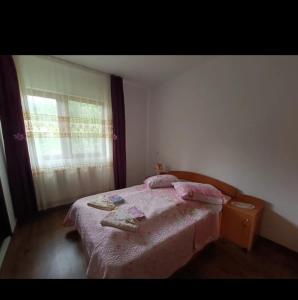 阿列谢尼Casa Andreea的一间卧室配有一张带粉色床单的床和一扇窗户。