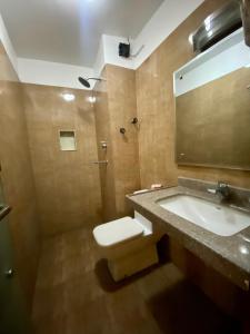 加德满都Hotel Siddhi Manakamana的一间带水槽、淋浴和卫生间的浴室