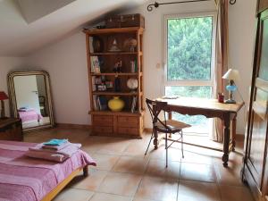 佩皮尼昂Maison Parc Ducup的一间卧室配有书桌、桌子和镜子