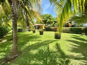 AcajutlaLas Veraneras Villa - Pet Friendly的一座种植了棕榈树的绿色庭院和一座房子