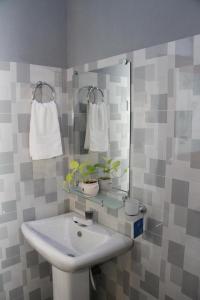 锡吉里亚Sigiri Enaya Cottage的一间带水槽和镜子的浴室
