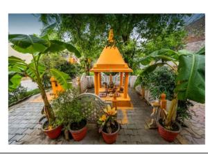 奥拉奇哈Mridul Homestay Orchha, Madhya Pradesh的花园内种有植物的小凉亭