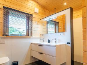 SchinnenCozy holiday home in Limburg with a beautiful view的一间带水槽和卫生间的浴室