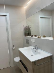 格兰阿利坎特Beach House Relax的一间带水槽、卫生间和镜子的浴室