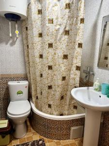 布哈拉Ikat Terrace的浴室配有卫生间、浴缸和水槽。
