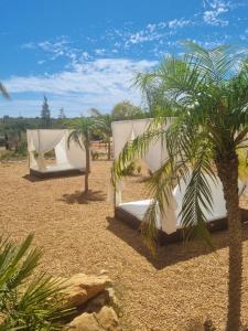 阿尔戈什Villa Das Alfarrobas Eco Design Cabin的沙漠中两顶棕榈树帐篷