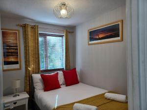 邓斯特布尔Huku Kwetu -The Maltings White Door-1st Floor-2 Bedroom Apartment -Self Catering-Quiet- Free Parking的一间卧室配有一张带红色枕头的床和一扇窗户