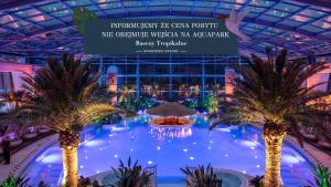 凯尔采宾科文斯基酒店的一座棕榈树大型游泳池