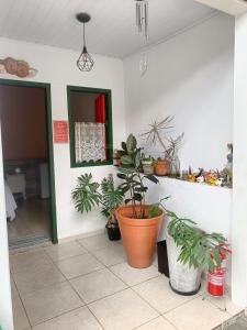 皮雷诺波利斯Suíte no centro histórico的墙上有盆栽植物的房间