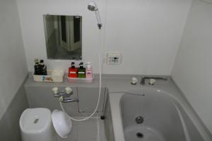 神户Private Inn Bambee的带浴缸、卫生间和镜子的浴室