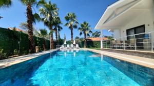穆拉Villa Günay的棕榈树屋旁的游泳池