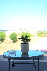 穆尔特里Costa Varda Apartments的上面有盆栽的蓝色桌子