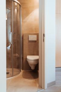 托尔豪特Hotel Brasserie De Beiaard的一间带卫生间和玻璃淋浴间的浴室