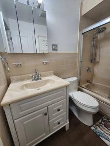 联城Cosy Modern Home Mins to NYC!的一间带水槽、卫生间和镜子的浴室