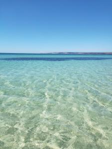 Island Beach斯特兰玛肯度假屋的海洋清澈 ⁇ 蓝的海水