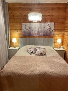 约恩苏Cityvilla on the shore of Lake Haapajärvi的一间卧室配有一张带两个枕头的床