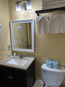 北康威瑞士小屋村旅馆的一间带水槽、卫生间和镜子的浴室