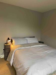 穆尔兰尼Sea Breeze Cottage Mulranny的一间卧室,配有一张床和床头灯