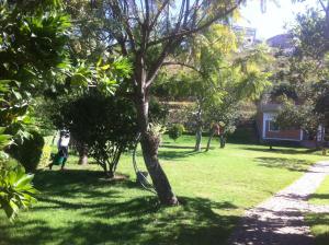 塔那那利佛SAHA NOFY Ambohimalaza Guest的和树一起在院子里行走的人