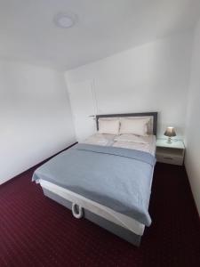 大克拉杜沙AQUA VET Velika Kladuša的一间卧室配有一张带蓝色毯子的大床