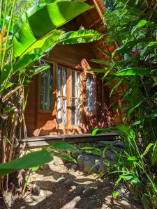 巴图卡拉Coconut Tree Cottages的森林中带窗户的小木屋