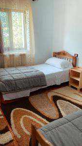 泰斯Bujtina Kometa的配有地毯的客房内的两张床