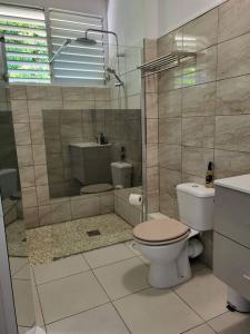 哥西尔Appartement magnifique vue mer的浴室配有卫生间、盥洗盆和淋浴。