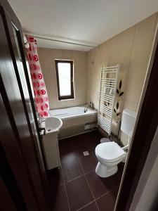 ChişcăuCasa Larisa的带浴缸、卫生间和盥洗盆的浴室