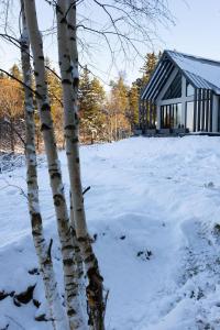 杜什尼基-兹德鲁伊Cichosfera- Dom w Dusznikach-Zdrój的雪中一棵树和一座建筑物