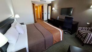 卡拉马迪亚哥德阿尔马格罗奥拓罗亚卡拉马酒店的配有一张床和一张书桌的酒店客房