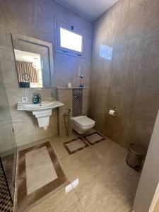 RejicheLuxury Rooftop WiFi, AC, BBQ的一间带卫生间、水槽和镜子的浴室