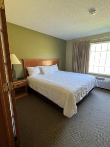 Walker沃克乡村酒店的一间卧室设有一张大床和一个窗户。