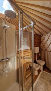 OstanaMonvisoRelax的客房内的浴室设有卫生间和淋浴。
