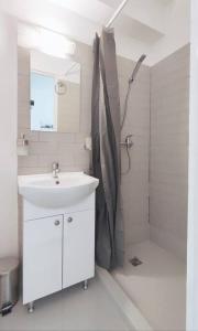 克卢日-纳波卡Central Park Studio的白色的浴室设有水槽和淋浴。