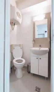 克卢日-纳波卡Central Park Studio的白色的浴室设有卫生间和水槽。