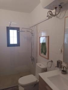 圣巴托洛梅Hotel Masai Mara Resort Gran Canaria的一间带卫生间、水槽和窗户的浴室